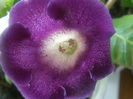 P7180014