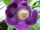 P7110009