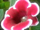P7130089