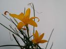 20150721_160401
