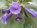 SAM_7597