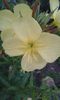 20150701_214528