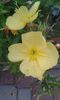 20150701_214500