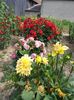 20150718_160629_HDR