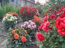 20150718_203251_HDR