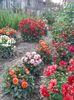 20150718_203259_HDR