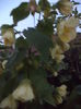 DSC04527