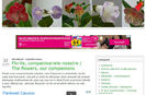 Update pe blog http:gesneriaceae.flori-si-plante.ro?p=1966