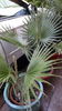 20150722_133209