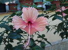 DSC02941