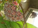 20150723_195315