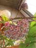 20150723_195306