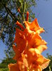 Fotografie0031