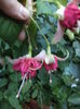 DSC04531