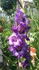20150719_144023