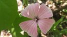 20150719_151831