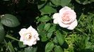 20150719_143523