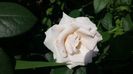 20150719_143517