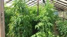 20150719_143544