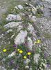20150716_120244