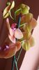20150724_110602[1]
