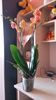 20150723_183338[1]