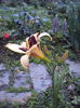DSC01165