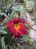 DSC01180