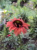DSC01190