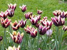 DSCF0680