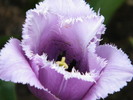 DSCF0708