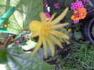 SAM_7757