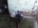 IMG_20150426_183713