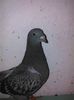 IMG_20150724_200607