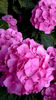20150701_210320