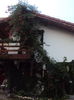 DSC02868