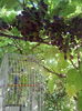 20150723_085426