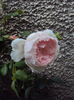 DSC01406