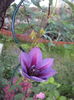 DSC01485