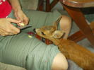 DSCN0554