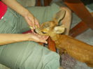 DSCN0555