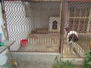 DSCN0570