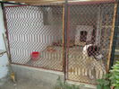 DSCN0571