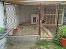DSCN0579