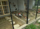 DSCN0580