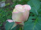 P1040101