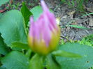 P1040102