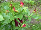P1040128