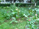 P1040151
