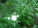 P1040153